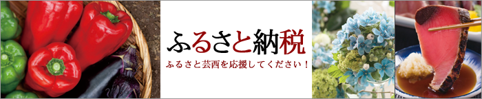 ふるさと納税