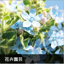 全国に誇る花き園芸