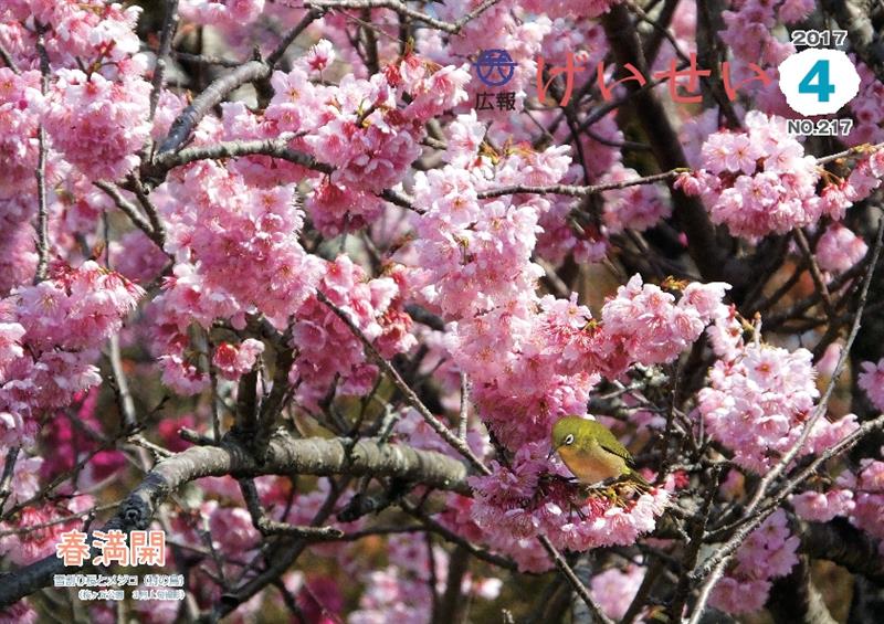 広報げいせい4月