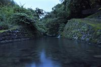 ホタル②