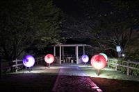 桜ヶ丘公園ライトアップ③