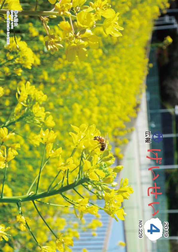 広報げいせい4月号