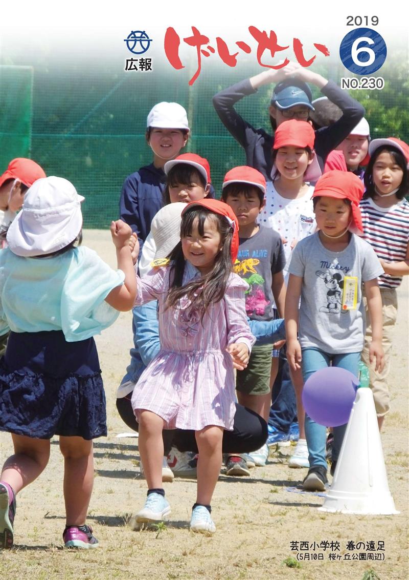 2019広報げいせい6月号
