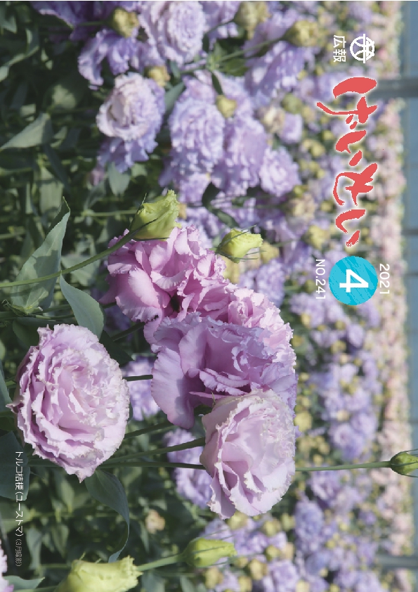広報げいせい4月号
