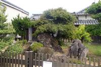 外門・庭
