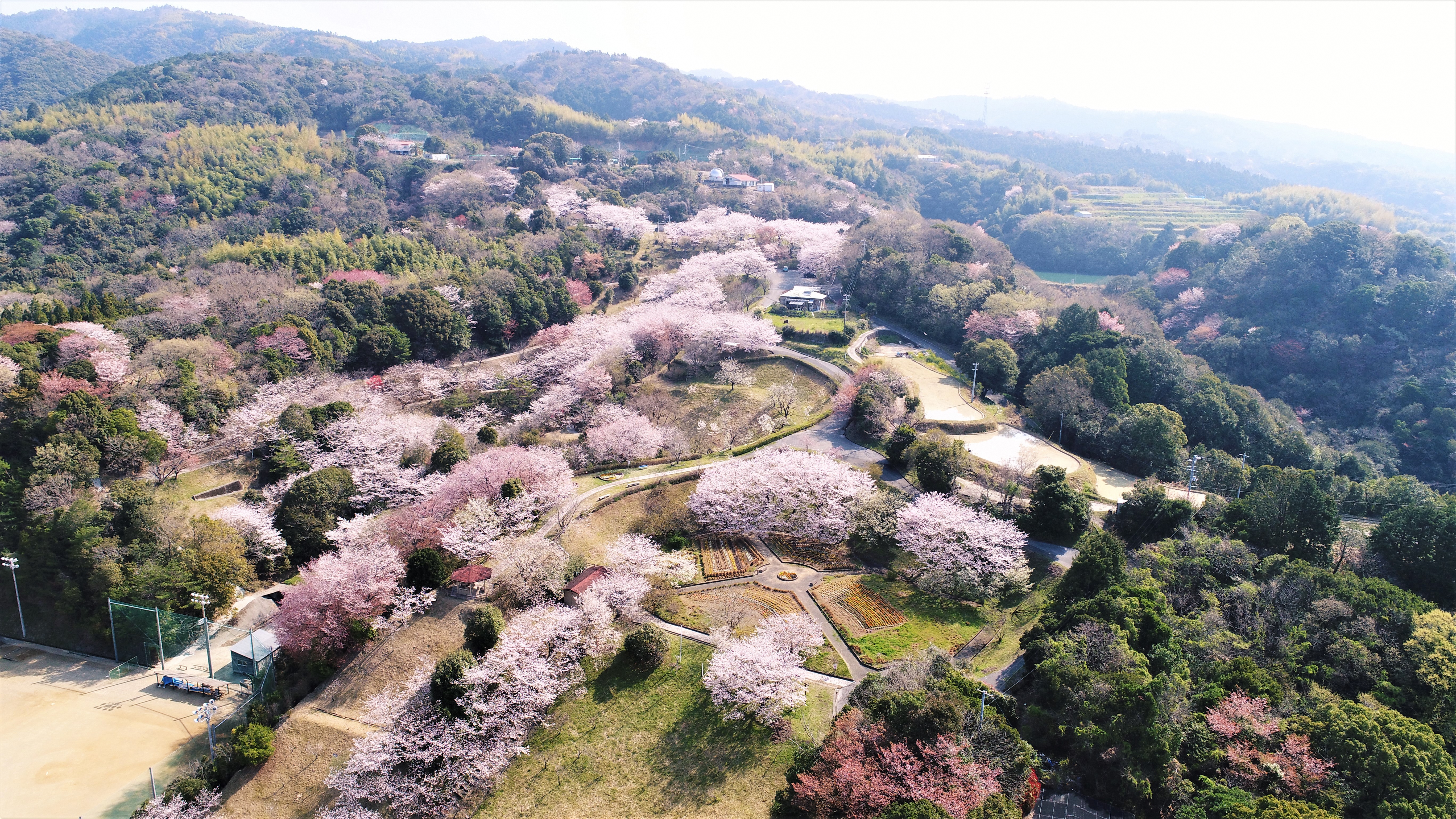 桜ヶ丘公園 桜ヶ丘公園