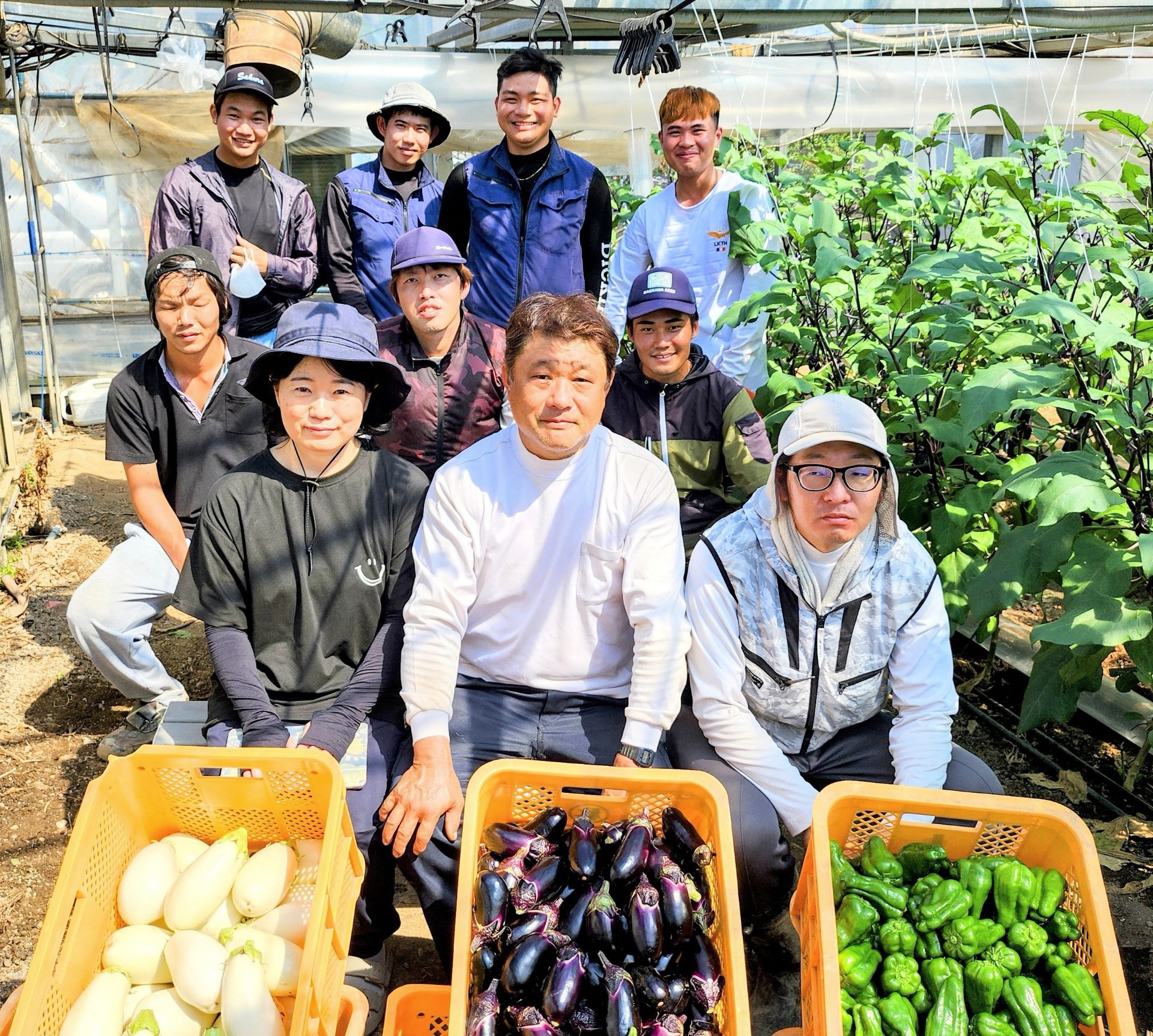 輝農園 輝農園